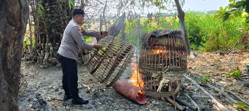 Polisi Tindak Lanjuti Laporan Dugaan Sabung Ayam di Sukodono Sidoarjo